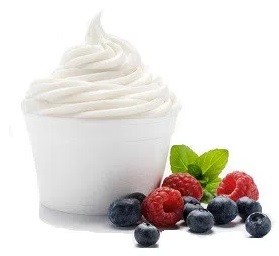 frozen yoğurt karlı yatırımlar